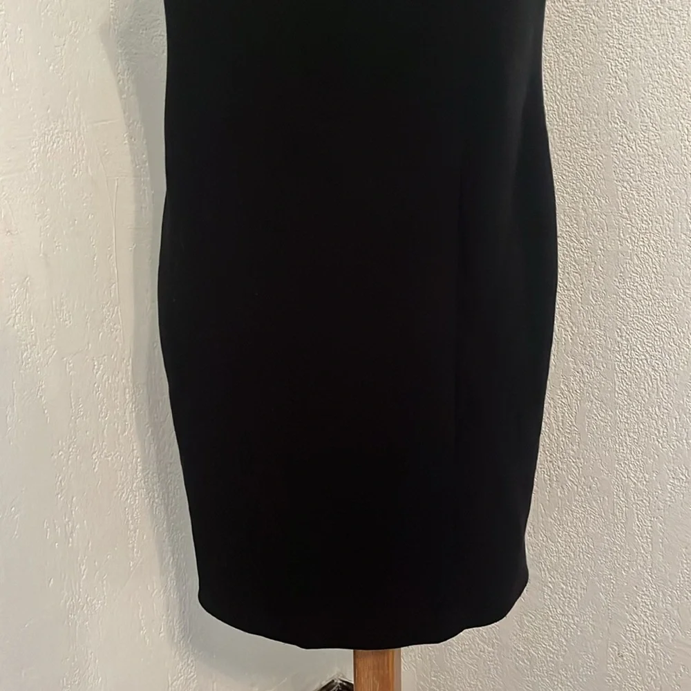 Kate Spade Jeweled Beaded dress - Picture 3 of 8